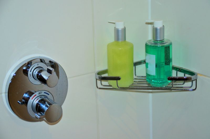 Custom Shower Controls